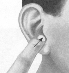 更年期综合征按摩部位图解