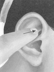 美容美体按摩部位图解