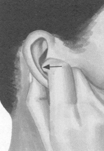 近视按摩部位图解