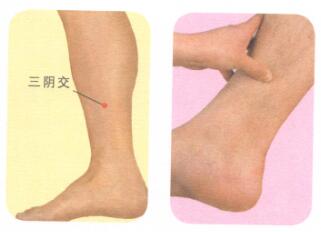 不育症按摩部位图解