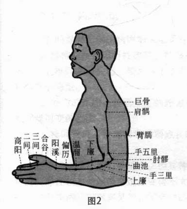 肩关节周围炎磁圆梅针疗法