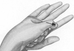 胃肠炎按摩部位图解