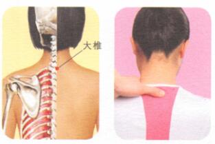 急性乳腺炎按摩部位图解