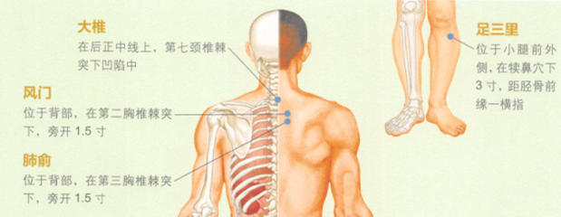 预防感冒艾灸哪个部位图解