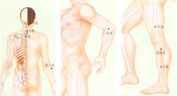 扁平疣刮痧部位图解
