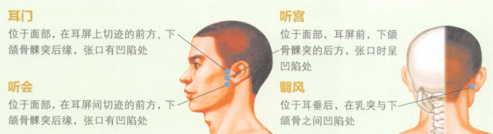 耳鸣艾灸哪个部位图解