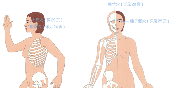 美容养颜按摩部位图解