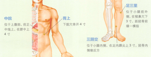 胃下垂艾灸哪个部位图解
