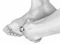 前列腺疾病按摩部位图解