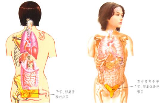 性保健刮痧部位图解