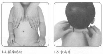 婴幼儿增强免疫力按摩部位图解