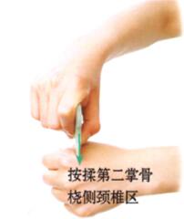 落枕刮痧部位图解