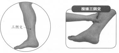 性冷淡按摩部位图解