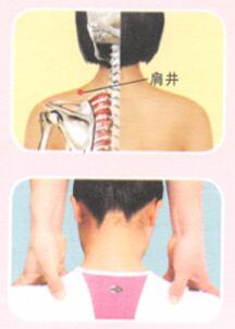 眼袋按摩部位图解