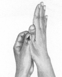 鼻炎按摩部位图解