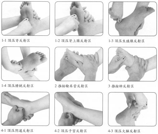 性冷淡按摩部位图解