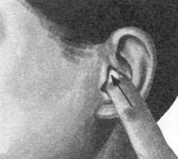 咽喉炎按摩部位图解