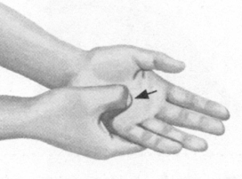 更年期综合征按摩部位图解