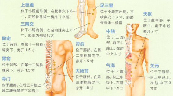 小儿腹泻艾灸哪个部位图解