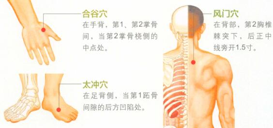 春季艾灸艾灸哪个部位图解