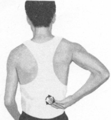 遗精按摩部位图解