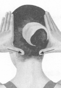 鼻炎按摩部位图解