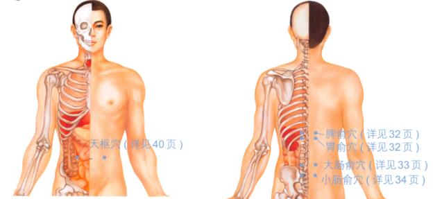 慢性肠炎按摩部位图解