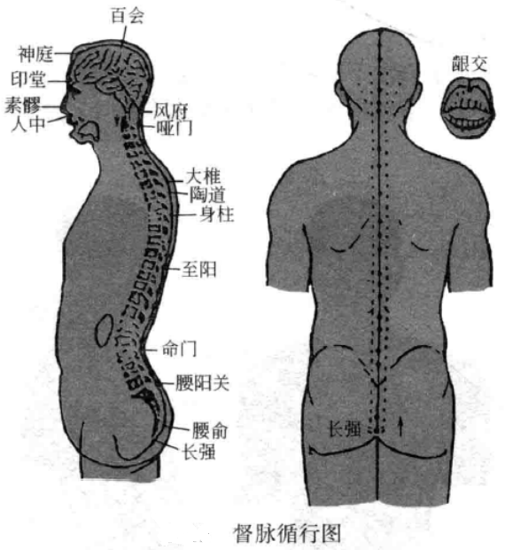 梅花针循经叩刺法