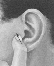 美容美体按摩部位图解