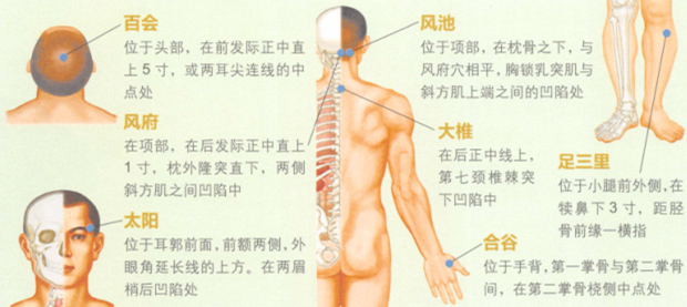 健脑益智艾灸哪个部位图解
