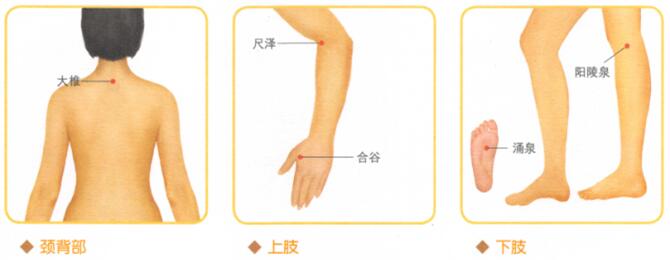 高血压按摩部位图解