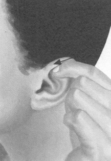 近视按摩部位图解