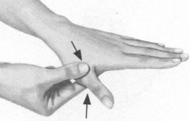 颈椎病按摩部位图解