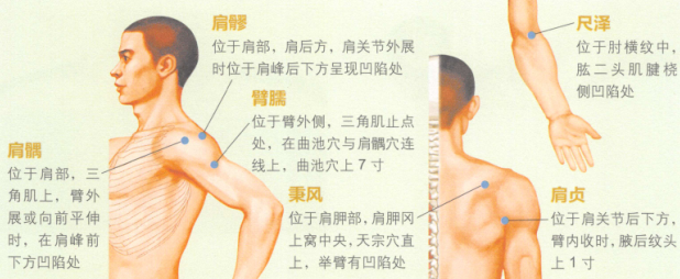 肩周炎艾灸哪个部位图解