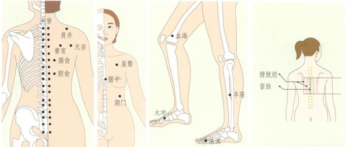 乳腺增生刮痧部位图解