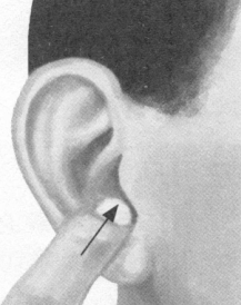 近视按摩部位图解