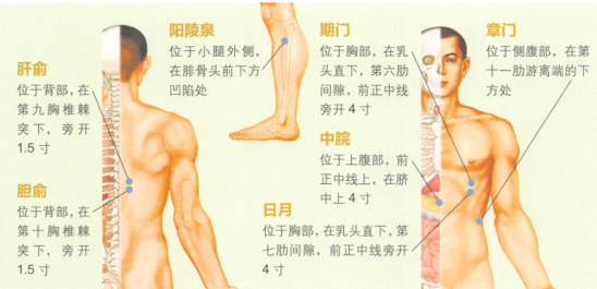 胆石症艾灸哪个部位图解