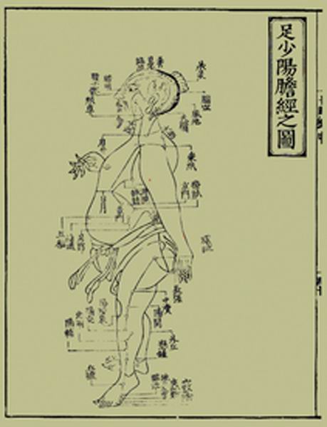 《十四经发挥》经穴图