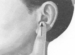 高血压按摩部位图解