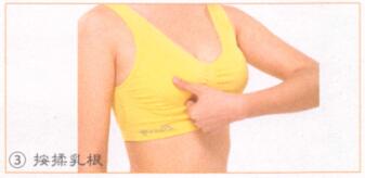 丰胸按摩部位图解