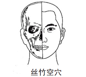 针灸穴位治疗各类痛证
