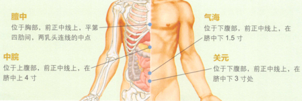 消化性溃疡艾灸哪个部位图解