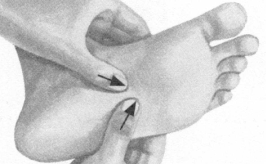 胃肠炎按摩部位图解