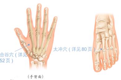 发热按摩部位图解