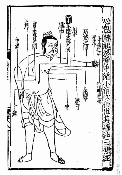 《子午流注针经》十二脉图