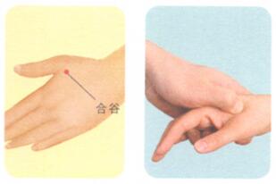 青春痘按摩部位图解