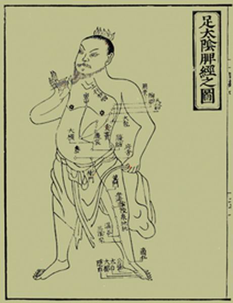 《十四经发挥》经穴图