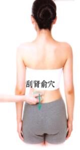 高脂血症刮痧部位图解