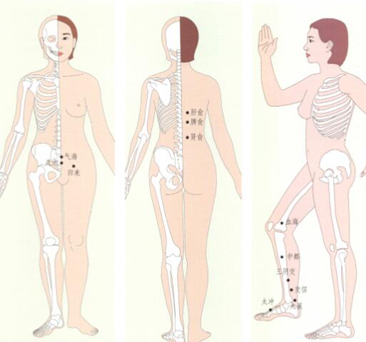 月经不调刮痧部位图解
