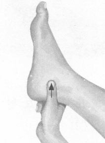 早泄按摩部位图解